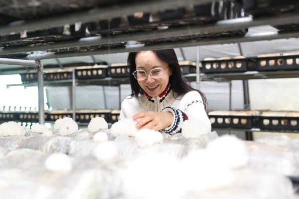 1994182814_CXnJY1w3_3299e8307b193c19b8b6