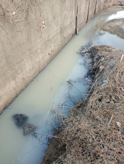 1994182814_ZvoH5N0d_e455b9b30c1d79dfda03