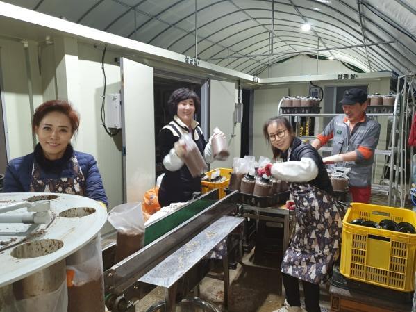 1994182814_d0kmZ2JL_db106e8a4c7a448af818