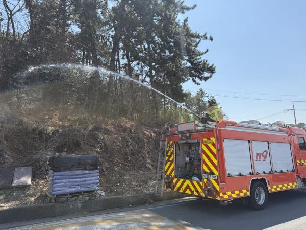 1994182814_cl26edzP_e751fa6f9137f5df4d81