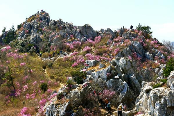 2106044223_8gLMnJ0N_e4484a54379e7b15b744