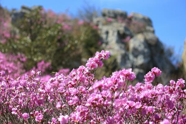 2106044223_u9ohNKLU_e1ffddeca7e672dadc81