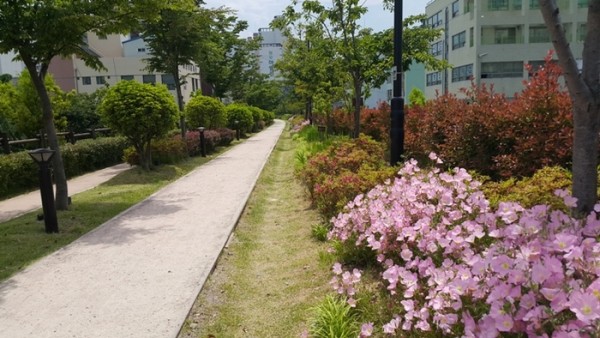 2015052844337561.jpg
